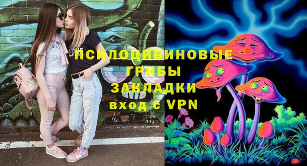 молекула духа Алзамай