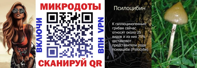 mega рабочий сайт Сургут Галлюциногенные грибы Magic Shrooms